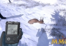 thehunter-sunkendeer