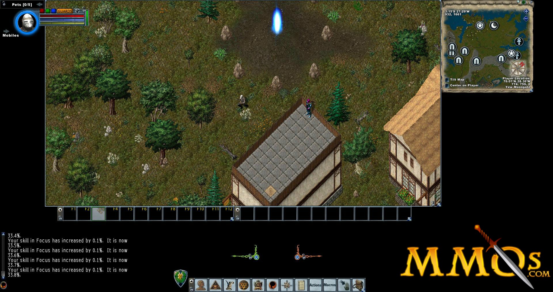 Ultima Online developer dispels rumors, introduces new features for the  year - Polygon