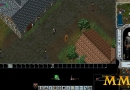 Ultima-Online-combat-stance