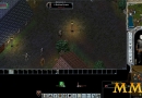 Ultima-Online-rotting-corpse