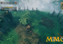 valheim-dandelion