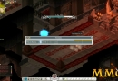 Wakfu-experience