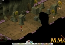 Wakfu-puzzles