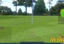winning-putt-strokes