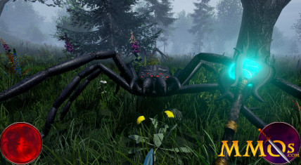 wizard-online-spider