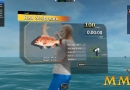 World-of-Fishing-red-seabream