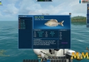 World-of-Fishing-sea-chub