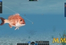 World-of-Fishing-underwater-cam
