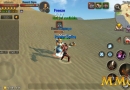 world-of-prandis-fighting-enemy