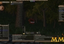 Wurm-Online-aged-brown-bear