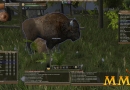 Wurm-Online-bison