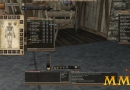 Wurm-Online-inventory
