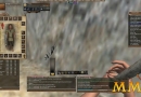 Wurm-Online-mining