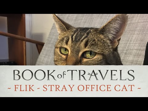 Book of Travels Kickstarter - Flik (stray office cat)