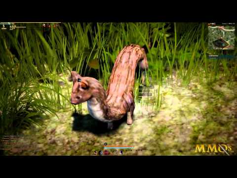 Black Desert Online Gameplay First Look HD - MMOs.com