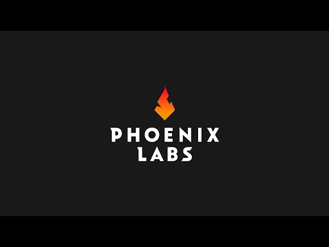 Meet Phoenix Labs