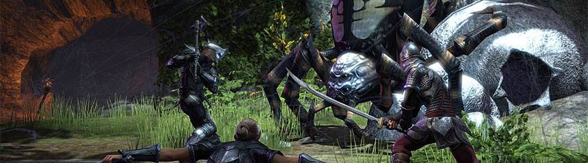 elder-scrolls-online-critical-bosmer-banner