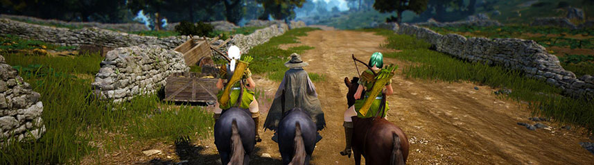 black desert online horseback banner