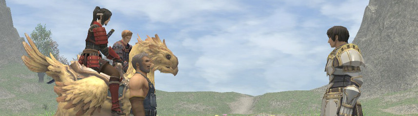 Plans for the future of Final Fantasy XI are coming soon