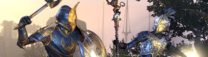 Elder Scrolls Online - More Like Fashion Scrolls Online - The Something  Awful Forums