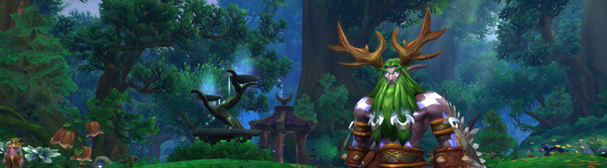 world of warcraft legion banner