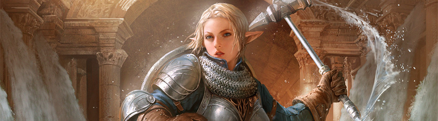 bless online elf knight