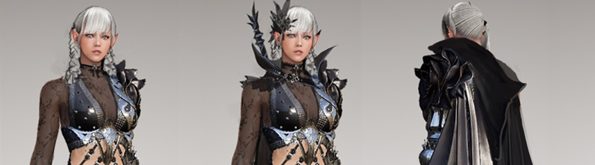 black-desert-online-dark-elf-banner