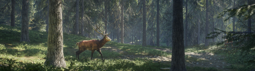 thehunter-call-of-the-wild-red-deer-february-16th-banner