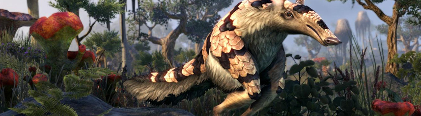 How To Use Pets In Elder Scrolls Online