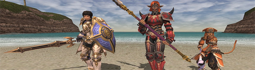 final fantasy 11 beach armor banner