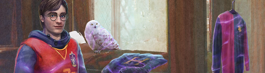 harry potter wizards unite hedwig robes