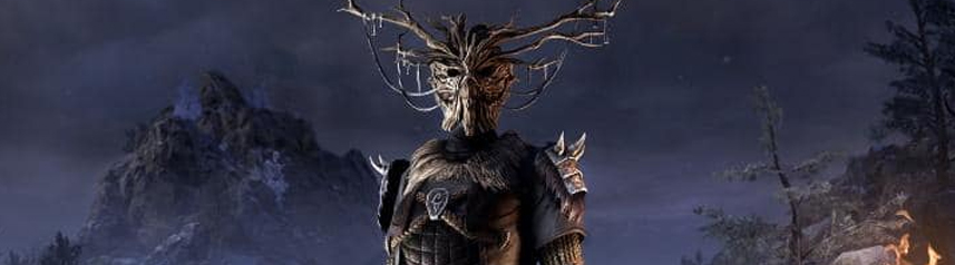 elder scrolls online mother ciannait banner