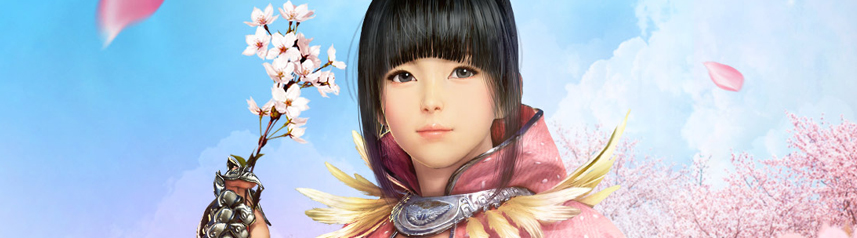 black desert online cherry blossoms spring banner