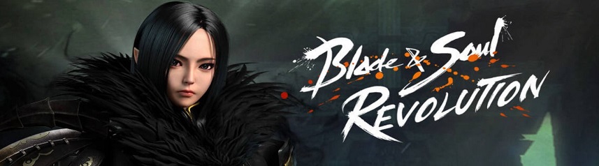 blade and soul revolution emulator banner