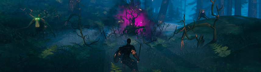 valheim dark forest banner