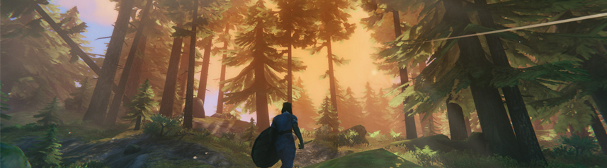 valheim viking forest banner