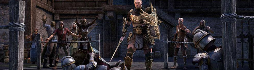 elder scrolls online melee tournament banner