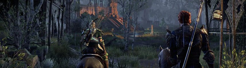 elder scrolls online companion horseback banner