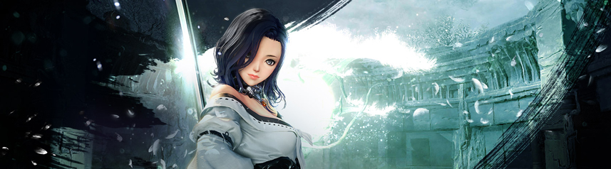 blade and soul samurai banner