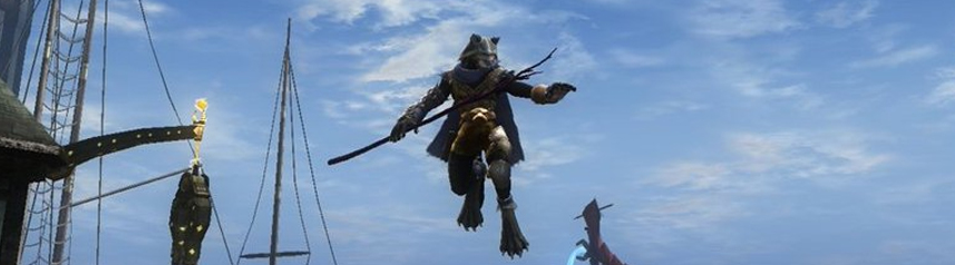 dungeons and dragons online tabaxi iconic banner