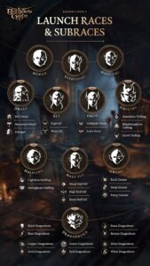 baldur's gate 3 classes infographic