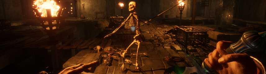 Project Crawl Skeleton Gameplay Screenshot