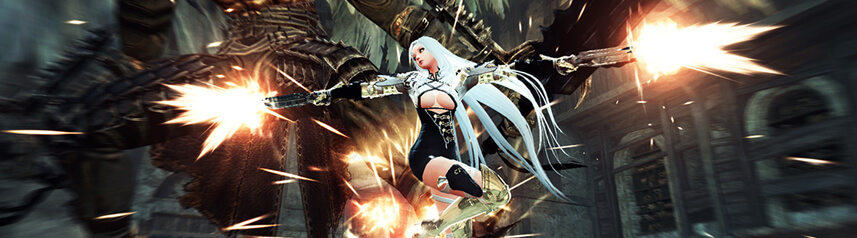 vindictus dual guns banner