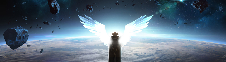 lost ark winged character banner