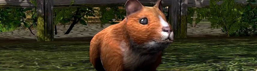 lord of the rings online hamster pet banner