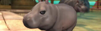 final fantasy xiv hippo calf banner