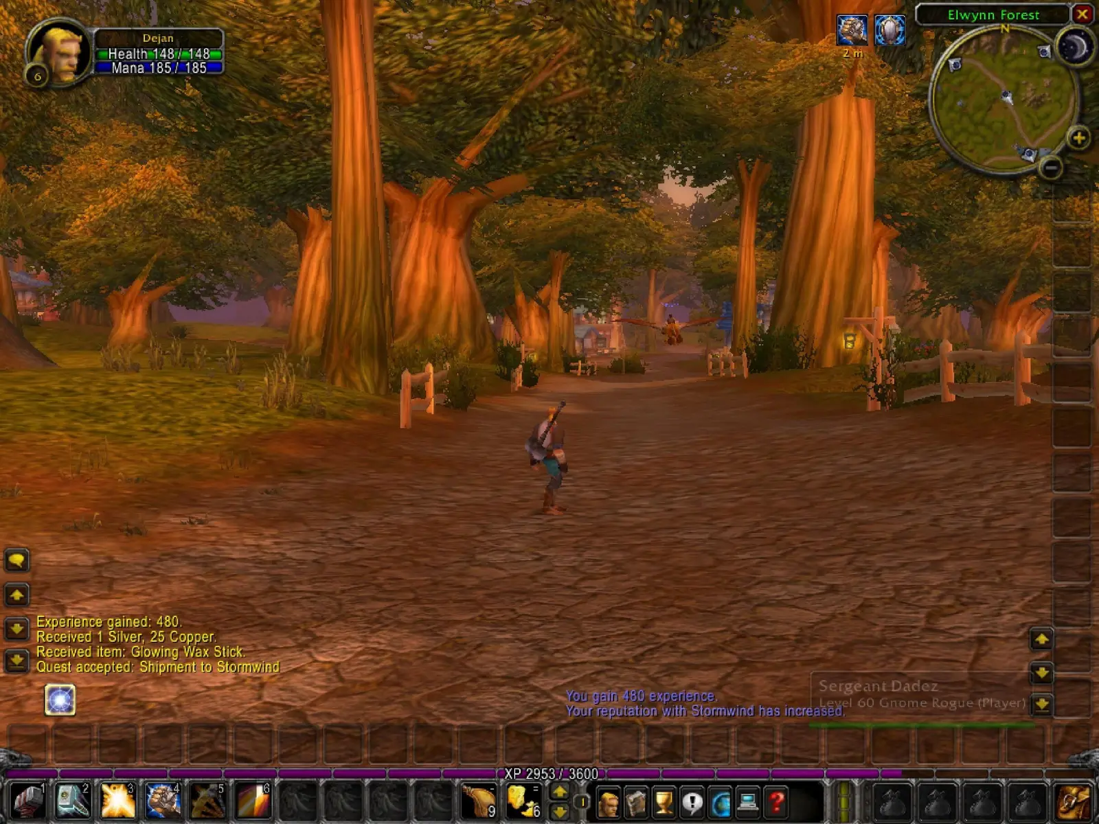 Third-person gameplay screenshot of a human character in Elwynn Forest from World of Warcraft